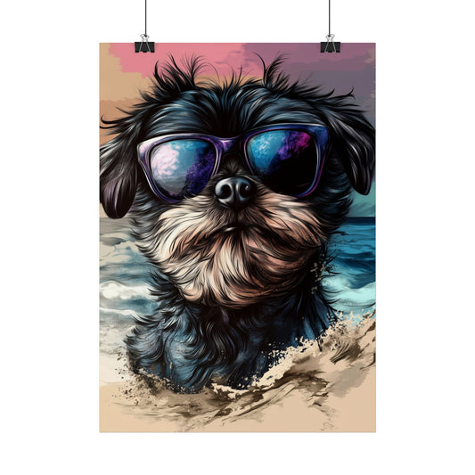 Chien Affenpinscher